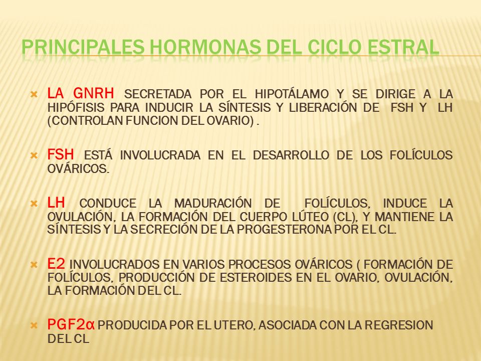funcion de las hormonas fsh y lh